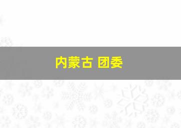 内蒙古 团委